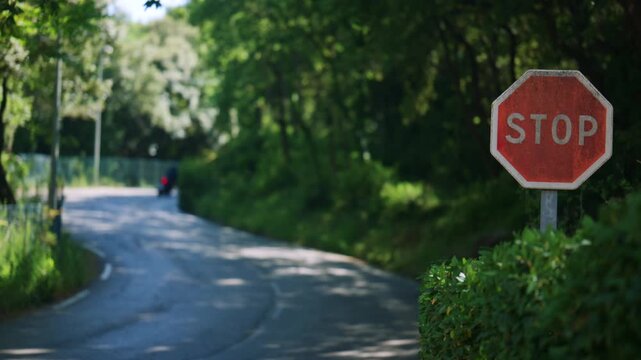 Close up of a stop sign beside a peaceful green road, with a motorcycle passing in the distance and soft natural summer lighting