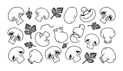 Fresh mushroom hand drawn doodles including champignon slices and green parsley leaves icons. © VANU