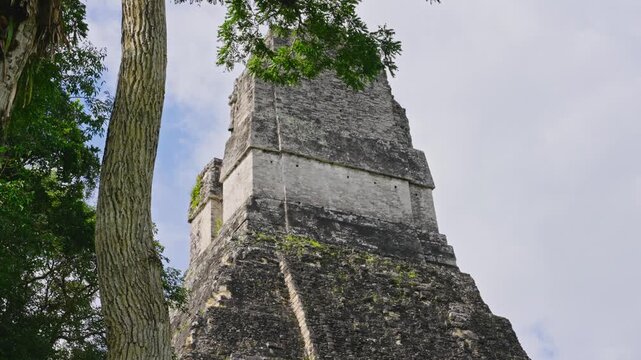 Temple of the Great Jaguar towering above jungle canopy, Tikal
