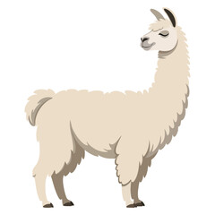 Fototapeta premium Adorable lama exterior vector illustration in flat style isolated on white background perfect for cartoon animal projects