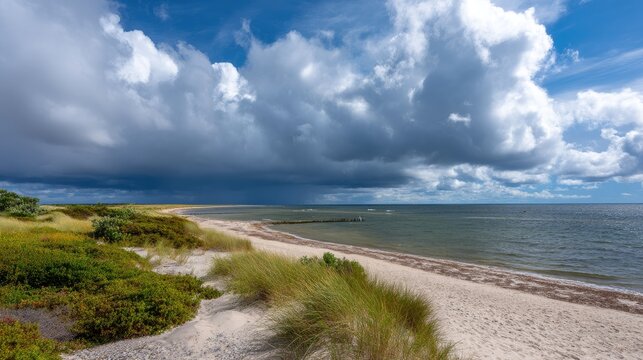 Serene Beach Landscape with Cloudy Sky Over Water and Coastal Vegetation in a Calm Coastal Environment