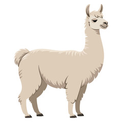 Cartoon adult lama standing in side view isolated on white background suitable for animal and nature themed designs © Nass Studio