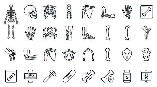 Human Anatomy Icons Set: Skeleton, Skull, Ribs, Joints, Bones, Medical Symbols