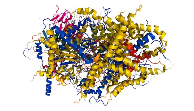 Colorful molecular protein structure with beta sheets and helices.