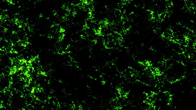 Abstract background, featuring vibrant neon, green glowing particles, scattered across a, deep dark black, textured surface area