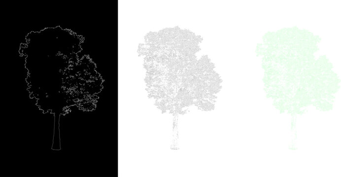 Three different artistic stylized tree symbols showing line art silhouette and flat graphic design styles
