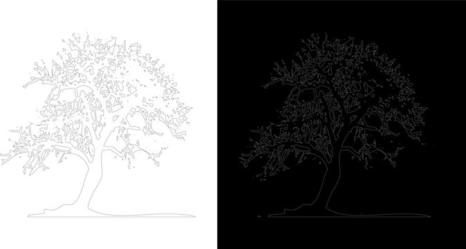 Minimalist black and white line art illustration of a deciduous tree with a simple ground line