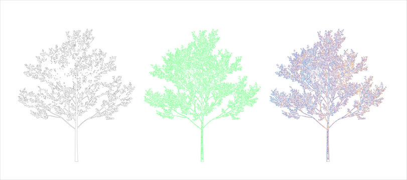 Set of three different stylized tree illustrations showing line art and flat color design styles