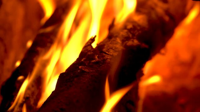 Close-up of Bright Orange Flames Burning on Wood Logs in Fireplace
