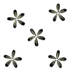 Obraz premium seamless black flower illustration for wallpaper background. cute hand drawn