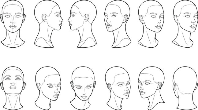 Female Head Angles and Perspectives Reference Sheet Line Art Vector Illustration Set for Anatomy Drawing.