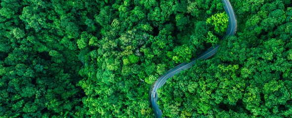 Obraz premium Winding road surrounded by tropical forest showcasing biodiversity conservation, Sustainable Infrastructure, Renewable Energy support, Carbon Credit opportunities, ESG leadership, and Net Zero busines