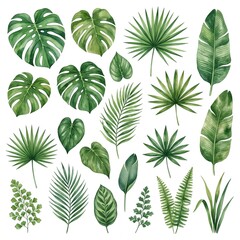Fototapeta premium Tropical green leaves seamless pattern collection. Monstera palm fern botanical vector set for design projects