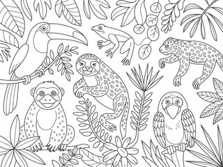 Fototapeta premium Colorful Tropical Forest Animals Line Art Illustration With Transparent Background
