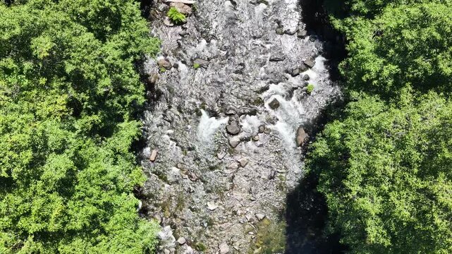 Fresh water flows down the Clackamas River in Northwestern Oregon, not far from Salem. Originating in the Mt. Hood National Forest, this beautiful 83-mile river is a tributary to the Willamette River.