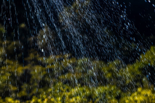 High shutter speed close-up photo capturing crisp water drops spraying from a sprinkler over dark green tropical garden trees during a hot sunny day in Brazil.