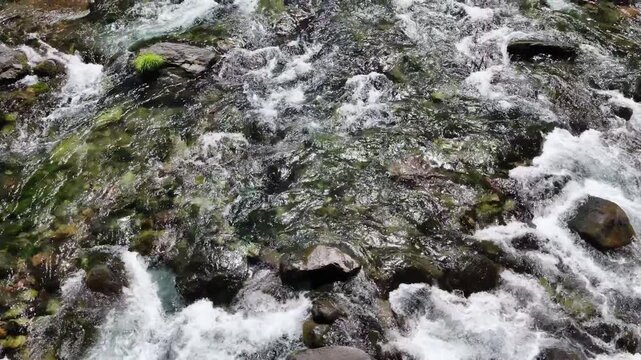 Fresh water flows down the Clackamas River in Northwestern Oregon, not far from Salem. Originating in the Mt. Hood National Forest, this beautiful 83-mile river is a tributary to the Willamette River.