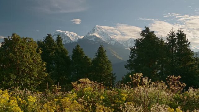 Himalayas Mountains Scenery in Nepal, Poon Hill Viewpoint, Amazing Landscape of Big Tall High Snowcapped Mountain Tops and Summits, Annapurna South Peak while Trekking on Hike and Trek in Nepal