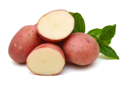 New potato isolated on white background close up 