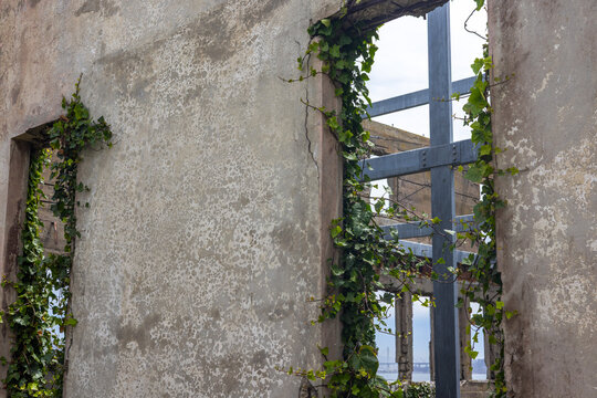 Ivy covered ruins with empty window frames, Alcatraz Island