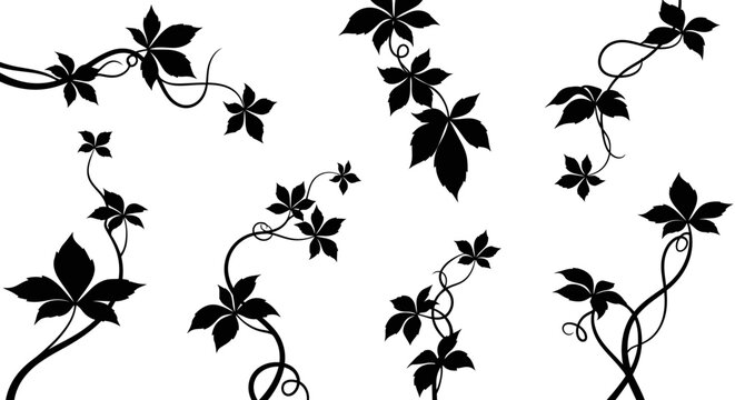 Minimalist solid white background for professional graphic design. Clean empty blank space for text, presentation slides, or high-key artistic bases. High-resolution digital vector canvas.