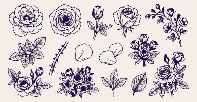 Elegant rose seamless pattern background, hand drawn botanical sketch wallpaper, vintage floral line art texture, blue ink rosebud drawing, romantic garden vector illustration, decorative flower texti