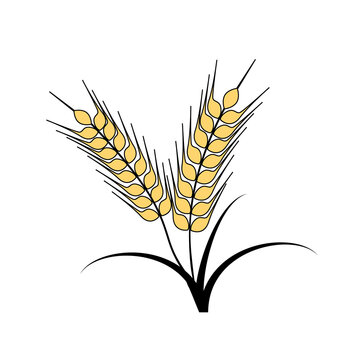 Stylized Golden Wheat Grain Ears with Black Line Art Logo Icon