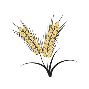Stylized Golden Wheat Grain Ears with Black Line Art Vector Logo Icon