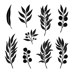 Fototapeta premium Collection of Hand-Drawn Botanical Silhouettes