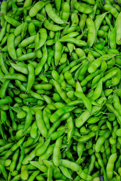 Full frame of fresh green edamame pods, Yuagari Musume variety, packed with vibrant color.