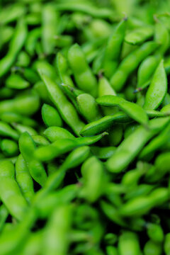 Full frame of fresh green edamame pods, Yuagari Musume variety, packed with vibrant color.