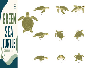 Premium Green Sea Turtle Collection – 10 Flat Graphic Vector Illustration Poses for Marine Wildlife, Nature  © Zuriat