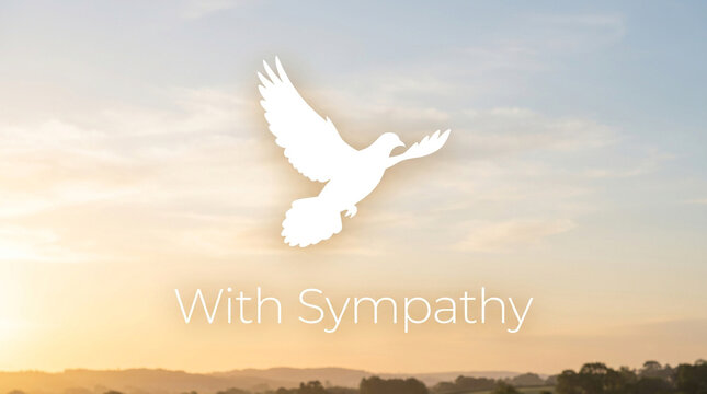 With Sympathy funeral card background, white dove silhouette flying over sunset sky, peaceful memorial condolence message with bird icon