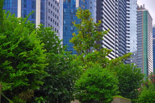 Modern eco city skyscrapers with green trees in Batumi with copy space