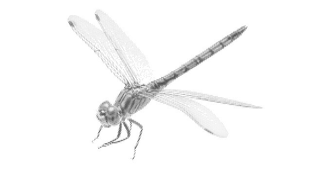 bug dragonfly insect nature halftone wildlife summer wild wing flying vector graphic design retro vintage art silhouette wild