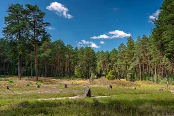 Kręgi Kamienne w Odrach © Michal