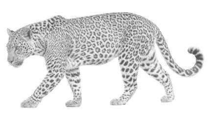 cat leopard cheetah animal halftone wild nature safari feline predator vector graphic design retro vintage art silhouette safari © Josnara