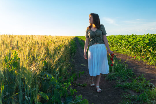 Young woman walking on a country road between wheat field and sunflowers during sunset