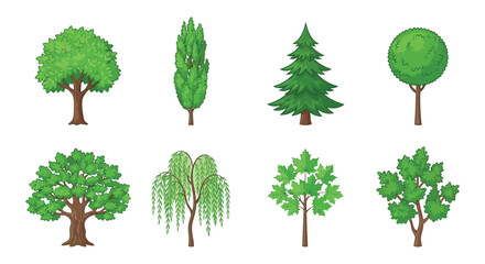 Collection Of Eight Varied Tree Illustrations In A Flat Vector Style Against A White Background arboricultural botanical © Ramkrisna