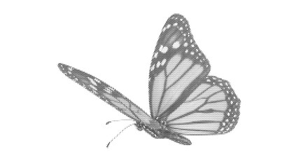 butterfly insect bug nature halftone flying wildlife summer wing beautiful vector illustration graphic clipart design isolated retro beautiful © Josnara