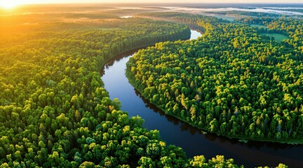 Obraz premium Winding river flows through dense green forest at sunrise golden hour. Sunlight illuminates tree canopy and water surface. Peaceful natural landscape from aerial perspective.
