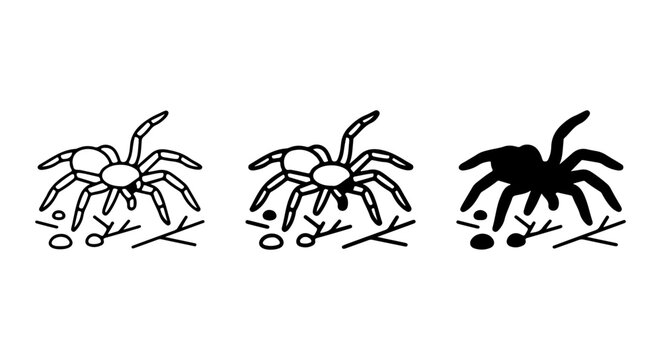 Tarantula Spider Icons, Black and White Line Art, Silhouette, Arachnid Vector Graphics