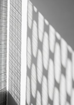 Abstract Black and White Shadow Pattern on Wall from Window Blinds Minimalist Architectural Background