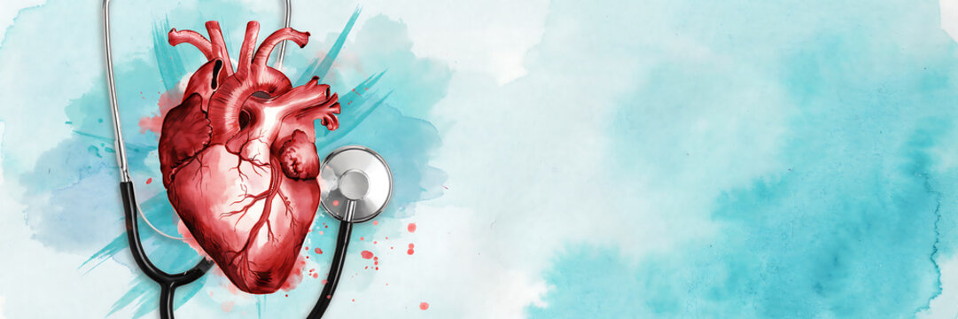 Anatomical human heart with a medical stethoscope, rendered in watercolor style on a light blue and white textured background