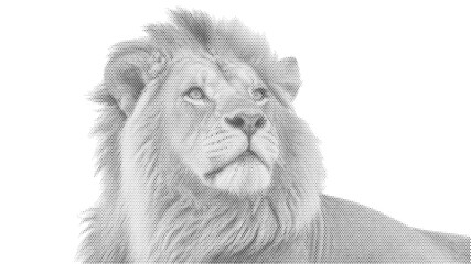 king mane lion cat halftone predator nature wild feline wildlife vector graphic design retro vintage art silhouette wild © Josnara
