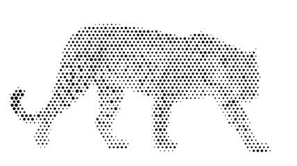 halftone cat cheetah leopard jaguar feline nature wild predator wildlife vector illustration graphic design dotted black white feline © Josnara