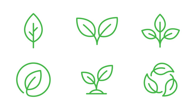 Leaf Line Icons Set Green Outlines On A White Background For Botanical Illustration leaves