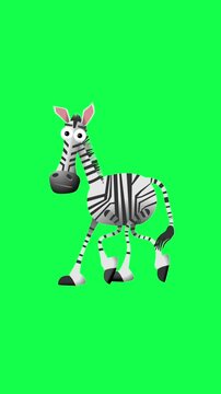 Funny Cartoon Zebra Walking Loop Animation on Green Screen Background
