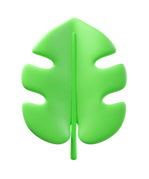 3D monstera leaf, isolated on background. Tropical botanical leaf perfect for summer, eco products, wellness, nature, decor, invitations, stickers, packaging. 3d render
