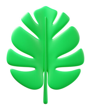 3D monstera leaf, isolated on background. Tropical botanical leaf perfect for summer, eco products, wellness, nature, decor, invitations, stickers, packaging. 3d render
